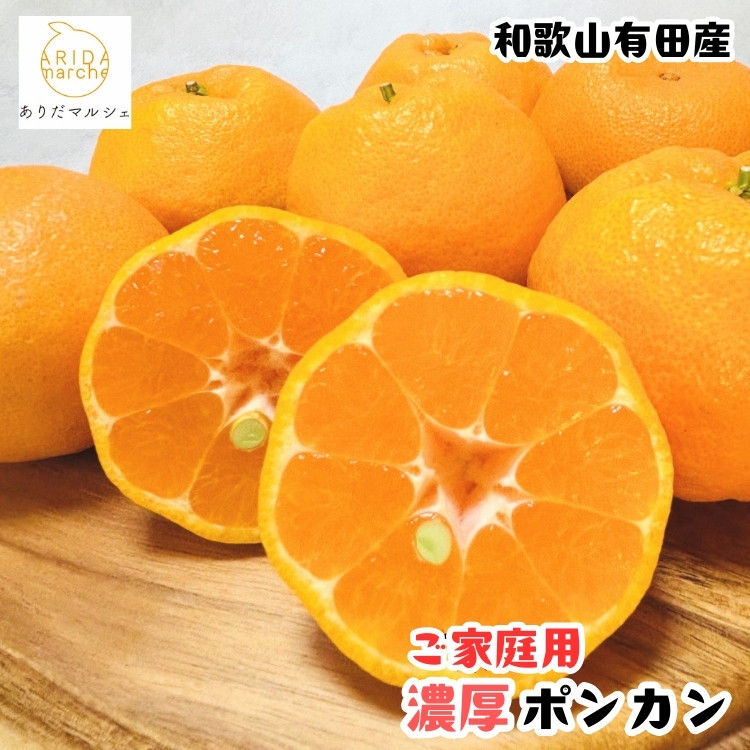 ［先行予約］極甘 柑橘 有田育ちの 濃厚 ポンカン（家庭用）10kg［MS47］