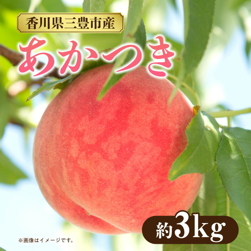 【ふるさと納税】数量限定！先行予約販売開始★ 神田農園の産地直送 桃「あかつき」 約3kg（9～10玉） [ フルーツ 名産品 桃 もも モモ 果物 くだもの お取り寄せグルメ 三豊市 20000 20,000円 返礼品 神田桃園 ] ※配送不可地域：北海道・沖縄県・離島