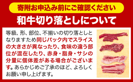 【3ヶ月定期便】牛肉 切り落とし 大容量 小分け 600g(300g×2)  牛肉
