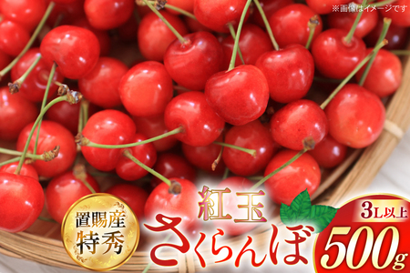 【期間限定発送】 さくらんぼ 置賜産 紅王 特秀 3L 以上 500g [JA山形おきたま 山形県 高畠町 tk06ays870053]