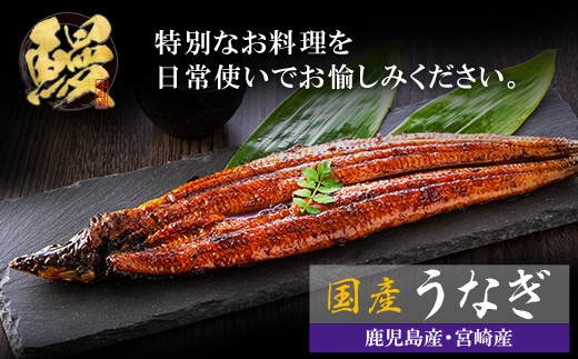 累計販売数229,673件突破 国産うなぎ蒲焼大サイズ2尾（計330g以上）鰻蒲焼用タレ・山椒付 うなぎ生産量日本一鹿児島県産・宮崎県産・熊本県産