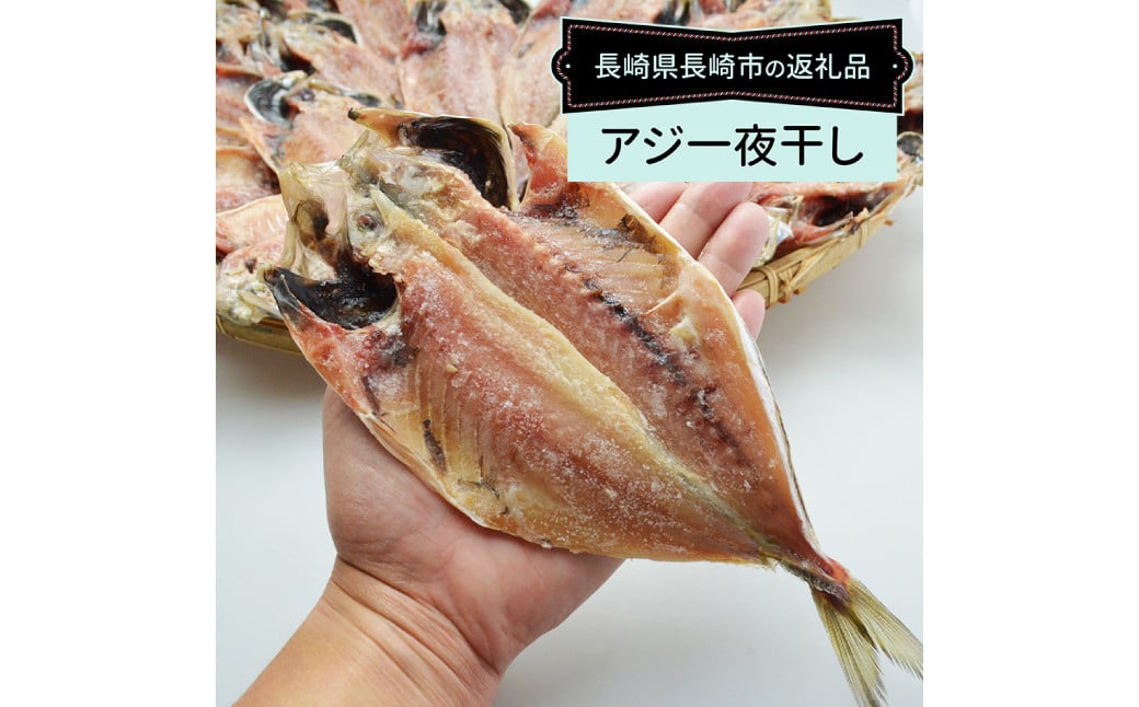 【全12回定期便】【最長2ヵ月前後】長崎産 真アジ一夜干し たっぷり21尾 ／ 海鮮 魚介 干物 ひもの あじ 鯵 アジ