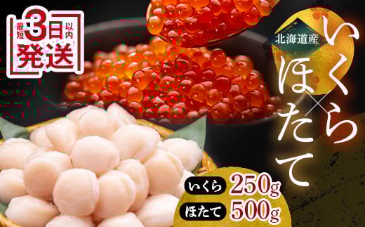 ★レビューキャンペーン実施中！★ 9月発送 笹谷商店 いくら醤油漬け250g＆ほたて貝柱500g F4F-7869