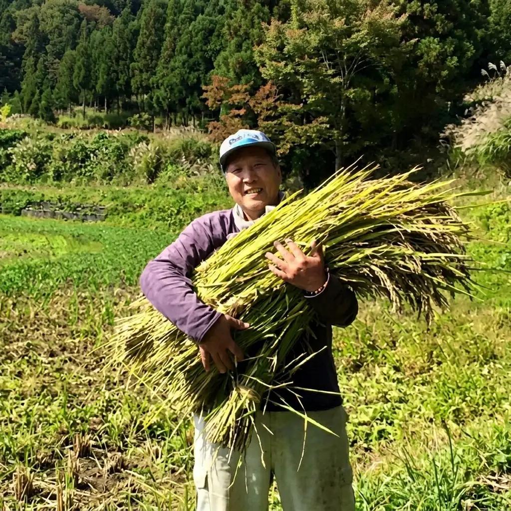 令和7年産「ミルキークイーン」新潟県上越産 精米5kg(1袋)