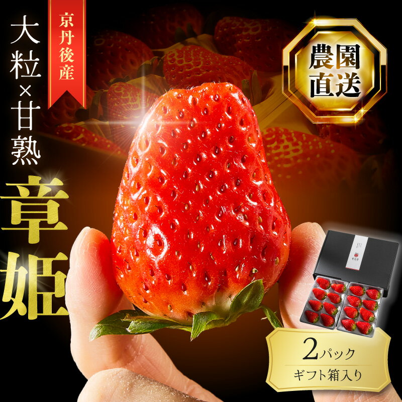 【ふるさと納税】【2026年発送】【京丹後産いちご章姫】農園直送便！新鮮大粒いちご 2パック ギフト箱入り／北畿水産 国産 大粒 あきひめ 甘い やわらかい ふるさと納税 いちご イチゴ 苺 先行予約 期間限定 くだもの 果物 先行申込 ストロベリー ギフト 送料無料