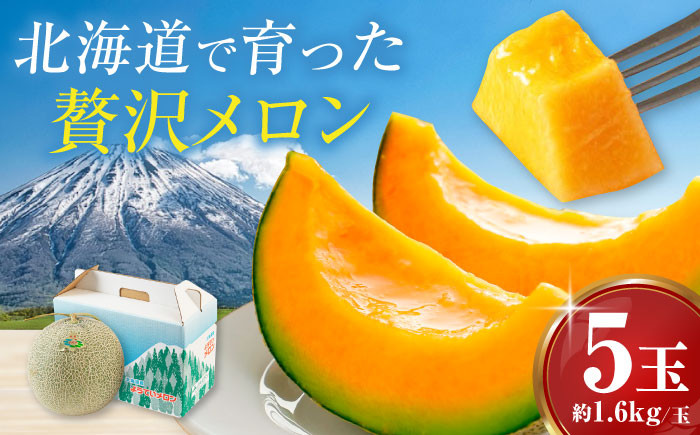 
            【先行予約】赤肉メロン 約1.6kg×5玉 《喜茂別町》【Aコープようてい】 先行予約 メロン 赤肉メロン 赤肉 フルーツ 果物 常温 常温配送 北海道 産地直送 [AJAK005] 27000 27000円
          