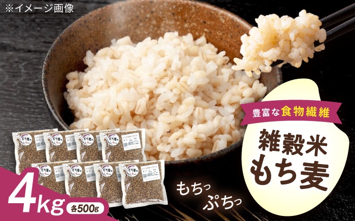 
                  もち麦 内子町産もち麦4kg ／ 国産 雑穀米 もち麦 ごはん おすすめ 送料無料 米 もち麦 モチ麦 大麦 食物繊維 βグルカン 健康 雑穀 ダイシモチ 愛媛 内子町 国産 ふるさと納税 お取り寄せ ギフト 特産品 四国 返礼品 四国 愛媛県 内子 返礼品 お礼 産地直送 特産品 贈り物 ギフト お取り寄せ おすすめ 国産 旬 【株式会社内子フレッシュパークからり】 [BKAD011]
                