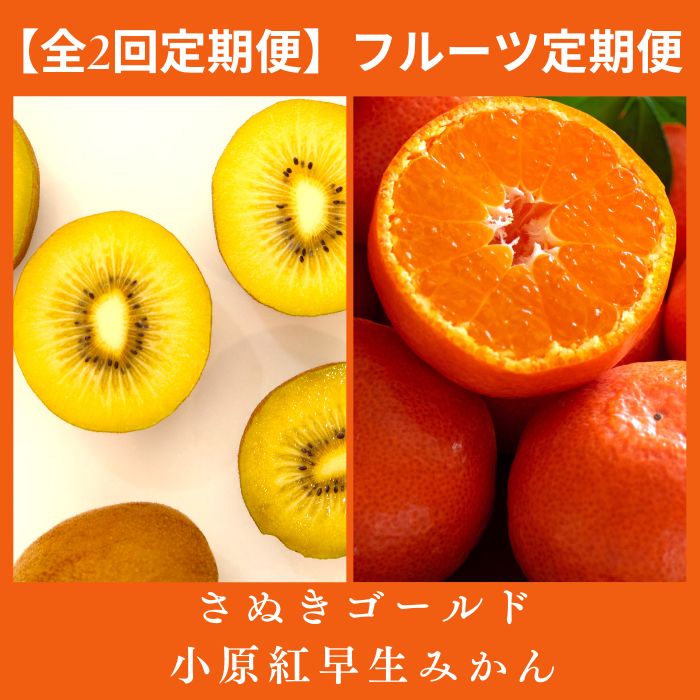 【ふるさと納税】【全2回フルーツ定期便】さぬき讃フルーツ　さぬきゴールドと小原紅早生みかん〔提供：有限会社マミィギフトカガワ〕