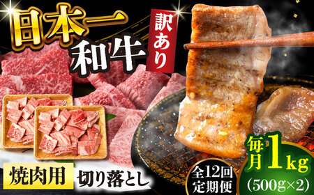 【12回定期便】【訳あり】A4-A5 長崎和牛 焼肉切り落とし 500g×2(肩ロース/バラ) [DBS048] 訳アリ 牛肉 肩ロース バラ