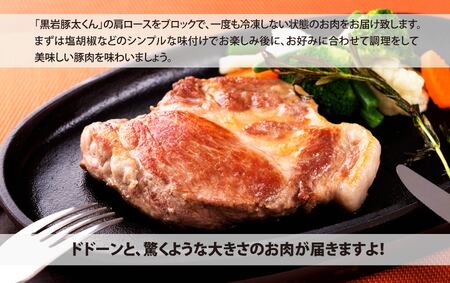 豚肉 肩ロース ブロック 約 5kg 黒岩豚太 くん  （くろいわ産地直売所）冷蔵 ロース ブロック肉 2.5kg × 2 とんかつ ステーキ トンテキ 