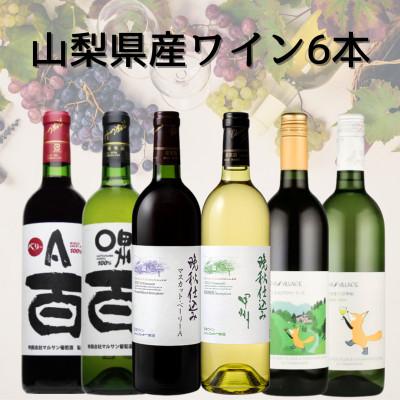 ふるさと納税 山梨県 山梨県産ワイン6本セット　043