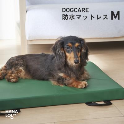ふるさと納税 岡崎市 ドッグケア　床ずれ予防マットレス　M