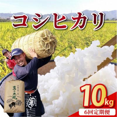 ふるさと納税 亀岡市 【毎月定期便】農家直送 京都丹波産 コシヒカリ 精米 10kg(10kg×1袋)全6回