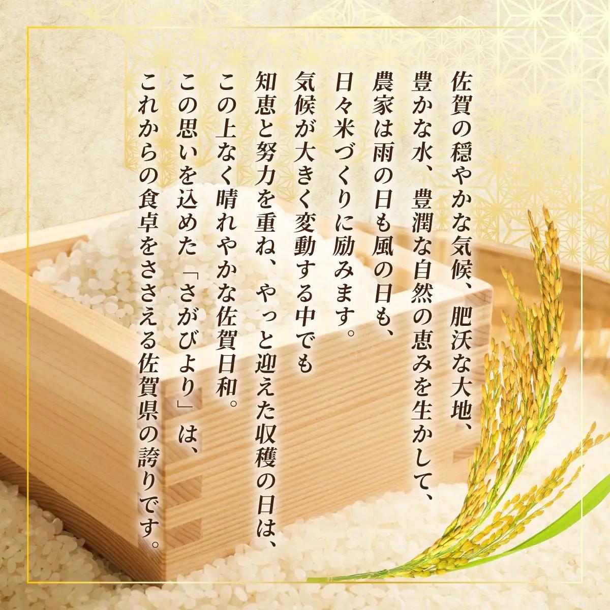 《佐賀海苔付き》《順次発送》令和7年産 さがびより 佐賀県産（精米）2kg