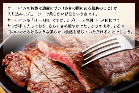 牛肉 あか牛 サーロイン ステーキ 500g ( 250g × 2枚 ) 牛肉 冷凍 《30日以内に出荷予定(土日祝除く)》 冷凍庫 個別 取分け 小分け 個包装 ステーキ肉 あかうし 赤牛 あか牛丼