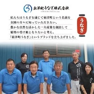 国産うなぎ蒲焼きざみ   合計600g（60×10袋）【U011】