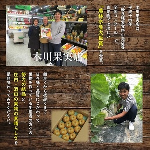 SC0687　酒田の果物専門店厳選　刈屋産 幸水梨　約5kg(10～16玉入)