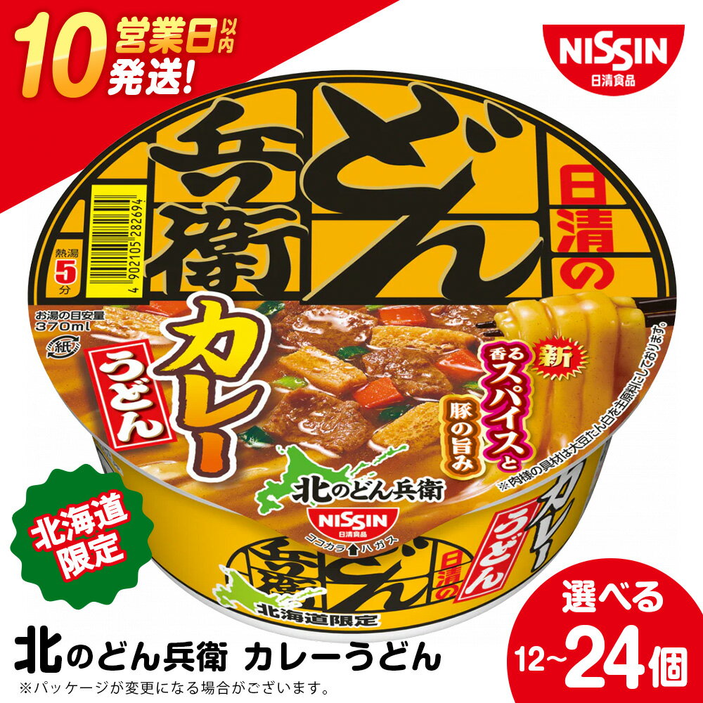 【ふるさと納税】日清 北のどん兵衛 カレーうどん 北海道仕様 選べる12個・24個 うどん インスタントラーメン麺 即席麺 麺類 ラーメン カップ麺 インスタント 麺類 カップラーメン 【北海道千歳市】ギフト ふるさと納税