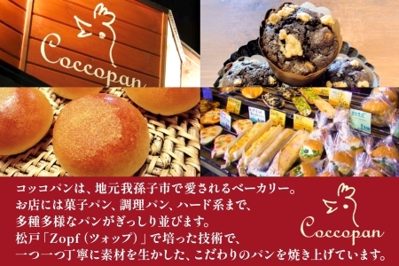 Coccopan コッコパンの朝食パンセット パン コッコパン 朝食 パンセット 9種 クルミ バケット 冷凍パン 詰め合わせ お取り寄せ セット 一人暮らし ベーグル レーズン食パン 玄米パン グラ