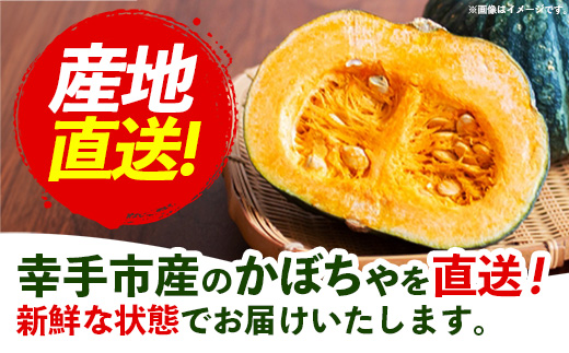 【きあり農園】2026年度 幸手市産 かぼちゃ 約10kg - カボチャ 南瓜 くり大将 くり将軍 産地直送 野菜 ベジタブル 美味しい おいしい 緑黄色野菜 大容量 国産 おすすめ 送料無料 埼玉県
