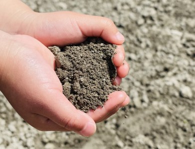 淡路島スイートオニオン 淡路島産玉ねぎ 　5kg