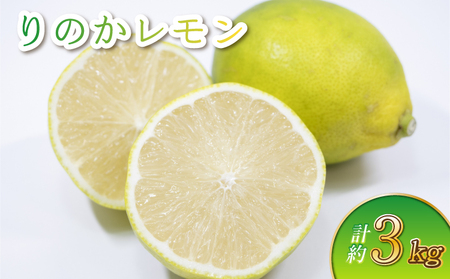 【先行予約】りのかレモン 3kg　【2026年2月上旬から5月上旬発送予定】