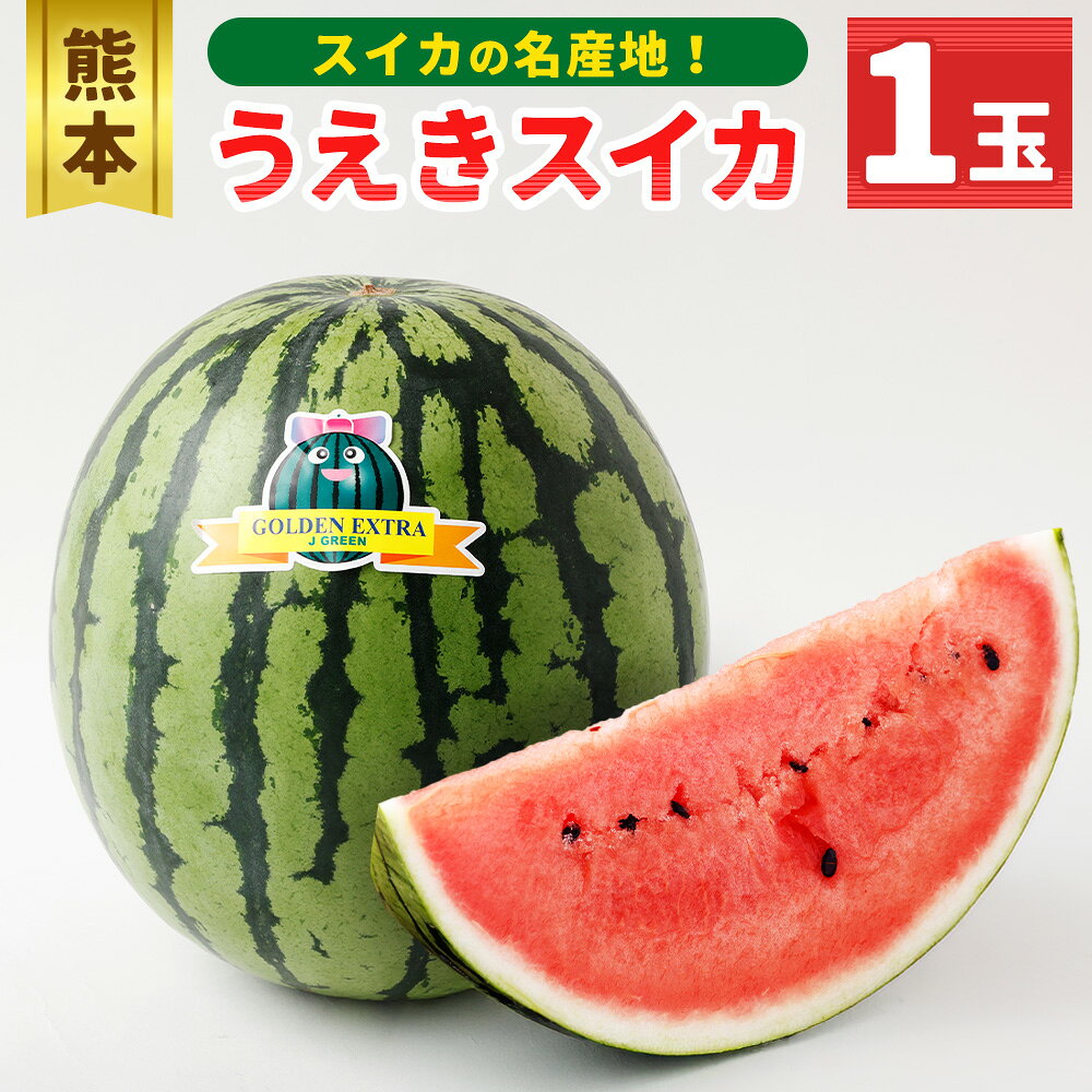【ふるさと納税】熊本うえきスイカ 1玉（約10kg） 大玉 スイカ すいか 西瓜 フルーツ くだもの 果物 果実 デザート 熊本県産 国産 熊本県 熊本市 送料無料 【2027年4月上旬から6月下旬発送予定】