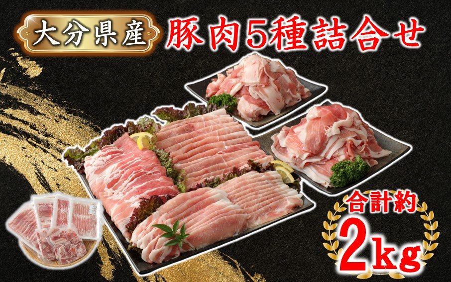 
普段使いに便利なパック分け！大分県産豚肉5種詰合せ 合計約2kg_2445R
