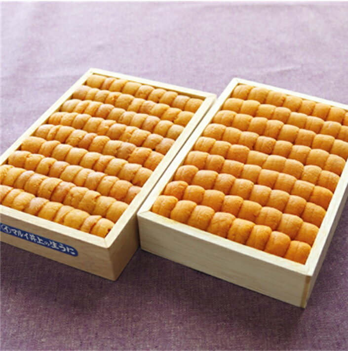 【ふるさと納税】エゾバフンウニ並べ詰め150g×2折[2026年3月上旬以降発送] E-40028