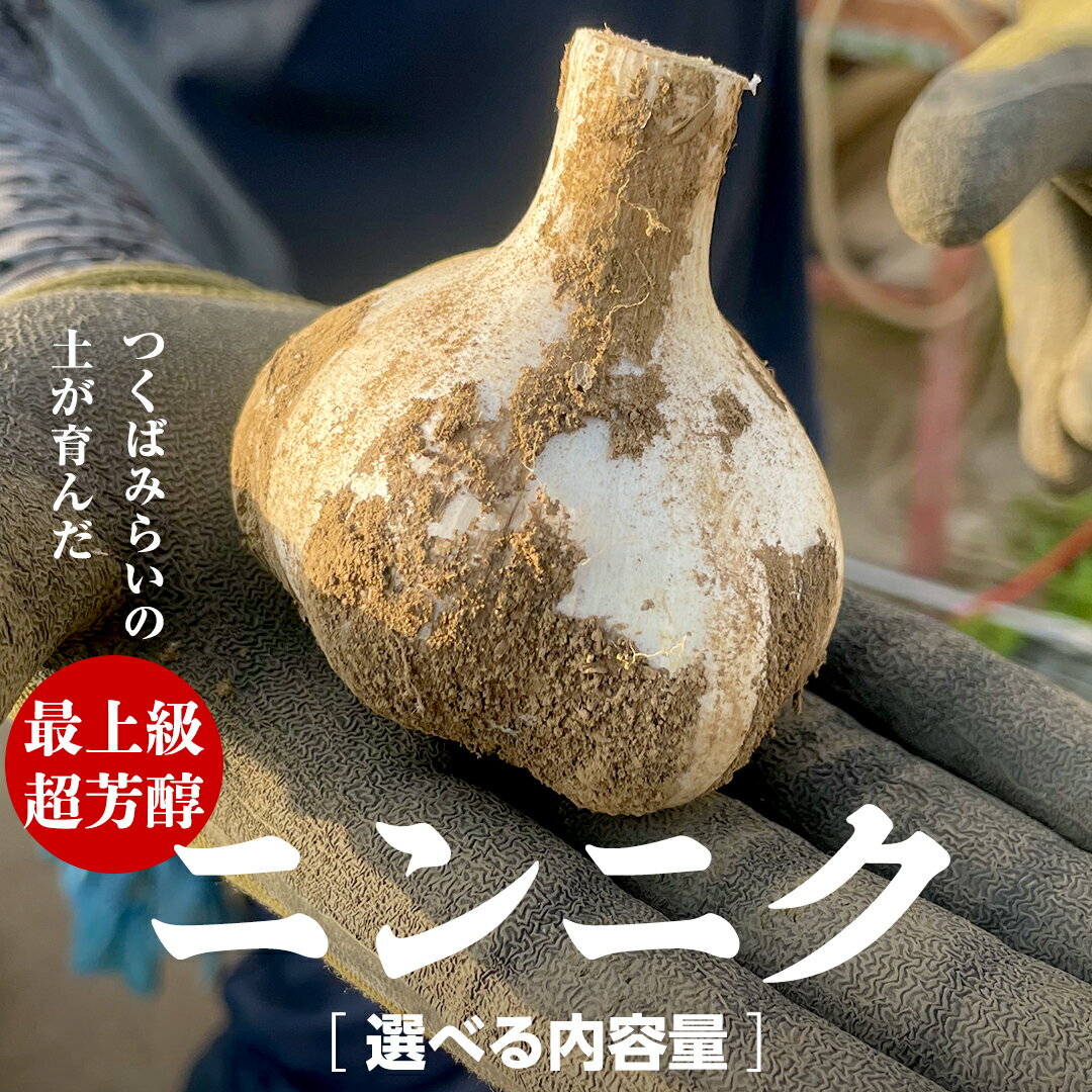 【ふるさと納税】＼選べる内容量／ 超芳醇 つくばみらいの土が育んだ 最上級ニンニク 500g・1kg つくばみらい市 ニンニク 新ニンニク 茨城県産 国産 無化学肥料 農薬不使用 化学肥料不使用