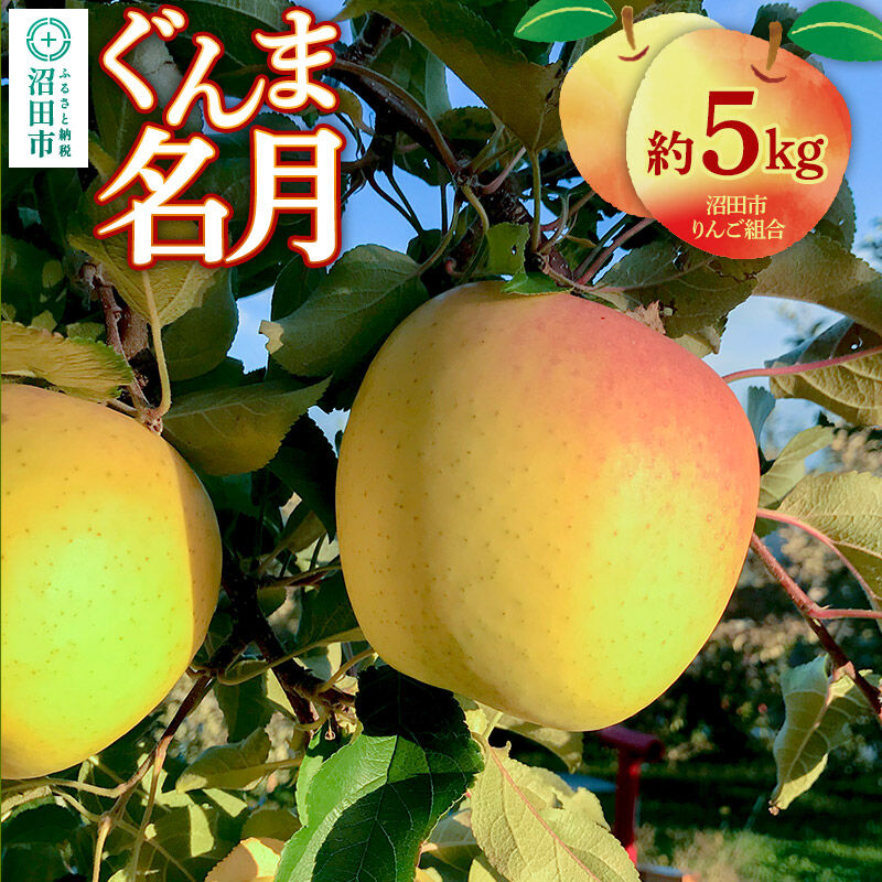 《11月中旬～12月上旬発送》沼田市りんご組合 りんご（ぐんま名月）約5kg 群馬県沼田市 [林檎 りんご リンゴ ぐんま名月]