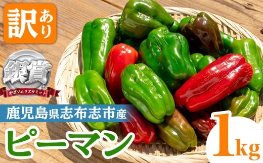 志布志産訳ありピーマン(1kg) ピーマン 訳あり 野菜 やさい ぴーまん 新鮮 常温 常温保存 おかず 詰め合わせ 銀賞 銀賞受賞 野菜ソムリエサミット p5-050