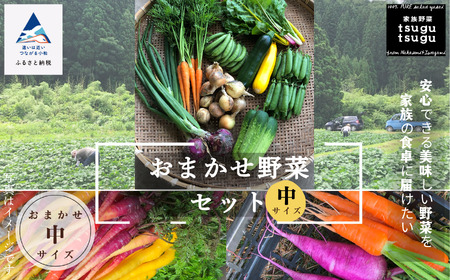 【化学肥料不使用】おまかせ野菜セット(中) 008046