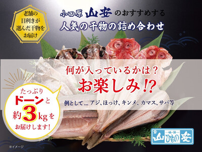 【小田原　山安】おまかせ干物セット　約３ｋｇ【 干物 神奈川県 小田原市 】