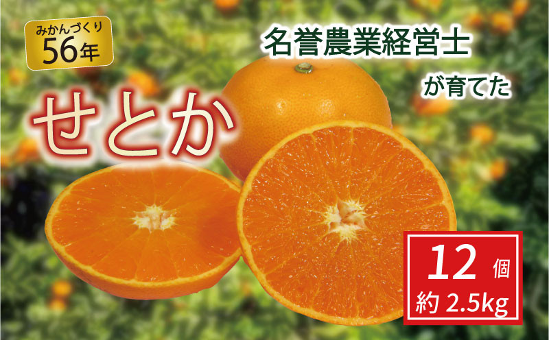 
せとか 12個 約 2.5 kg 【 はら みかん 農園 】 柑橘 オレンジ 沼津 静岡 フルーツ 直送 数量 限定
