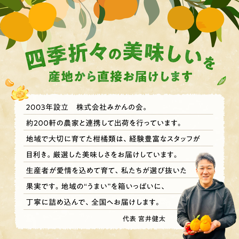 MK1051_【2025年先行予約】みかん 山から直送 箱込 7.5kg ( 内容量 6.8kg ) 鮮度優先ごろごろ規格 和歌山県産 産地直送 【みかんの会】_イメージ2