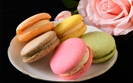 （冷凍）patisserie petit ami のマカロン10個入 ／ スイーツ お菓子 大きめサイズ 奈良県 御所市【pett0002A】
