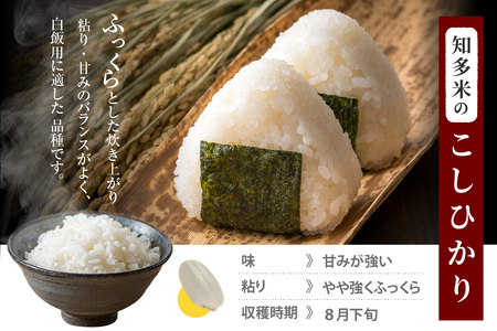 知多米 こしひかり5kg お米 白米 うるち米 おこめ 国産 精米 ご飯 おにぎり 朝ごはん ライス 和食 日本食 主食 食卓 お弁当 コシヒカリ 甘み 粘り 知多半島 お取り寄せ 5キロ 愛知県 知