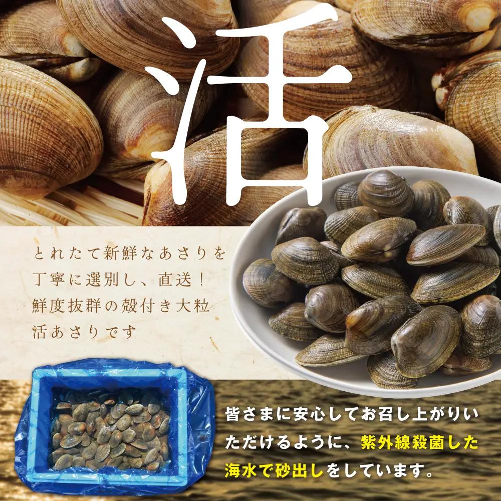 御礼！ランキング第1位獲得！北海道 野付産 大粒 天然 活あさり 2kg前後 あさり