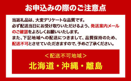 シャインマスカット マスカット 晴王 岡山県産 ぶどう【2026年先行予約】シャインマスカット 晴王 1房 750g 岡山県産《2026年9月上旬-10月末頃出荷(土日祝除く)》 ハレノフルーツ マス