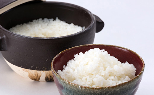 【定期便全3回】令和5年産よっしーの「つや姫」さまeco（精米）5kg×3 米 お米 おこめ 白米 山形県 新庄市 F3S-1624