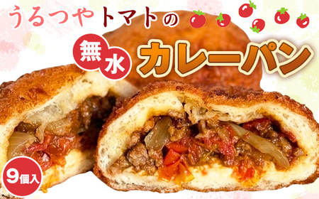 No.490 うるつやトマトの無水カレーパン9個入