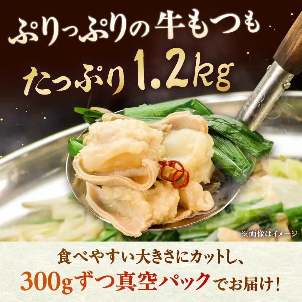 【全3回定期便】もつ鍋セット 5人前×4回分 合計20人 桂川町/株式会社チクゼンヤ [ADBZ054] 大容量 もつ 鍋セット
