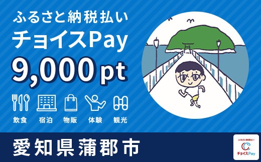 
                  蒲郡市チョイスPay 9,000pt【会員限定のお礼の品】
                