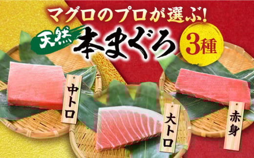 【全3回定期便】天然 本まぐろ 大トロ・中トロ・赤身（約200ｇ×6柵）約1200ｇ  鮪 マグロ 魚 刺身 横須賀【本まぐろ直売所】 [AKAK077]