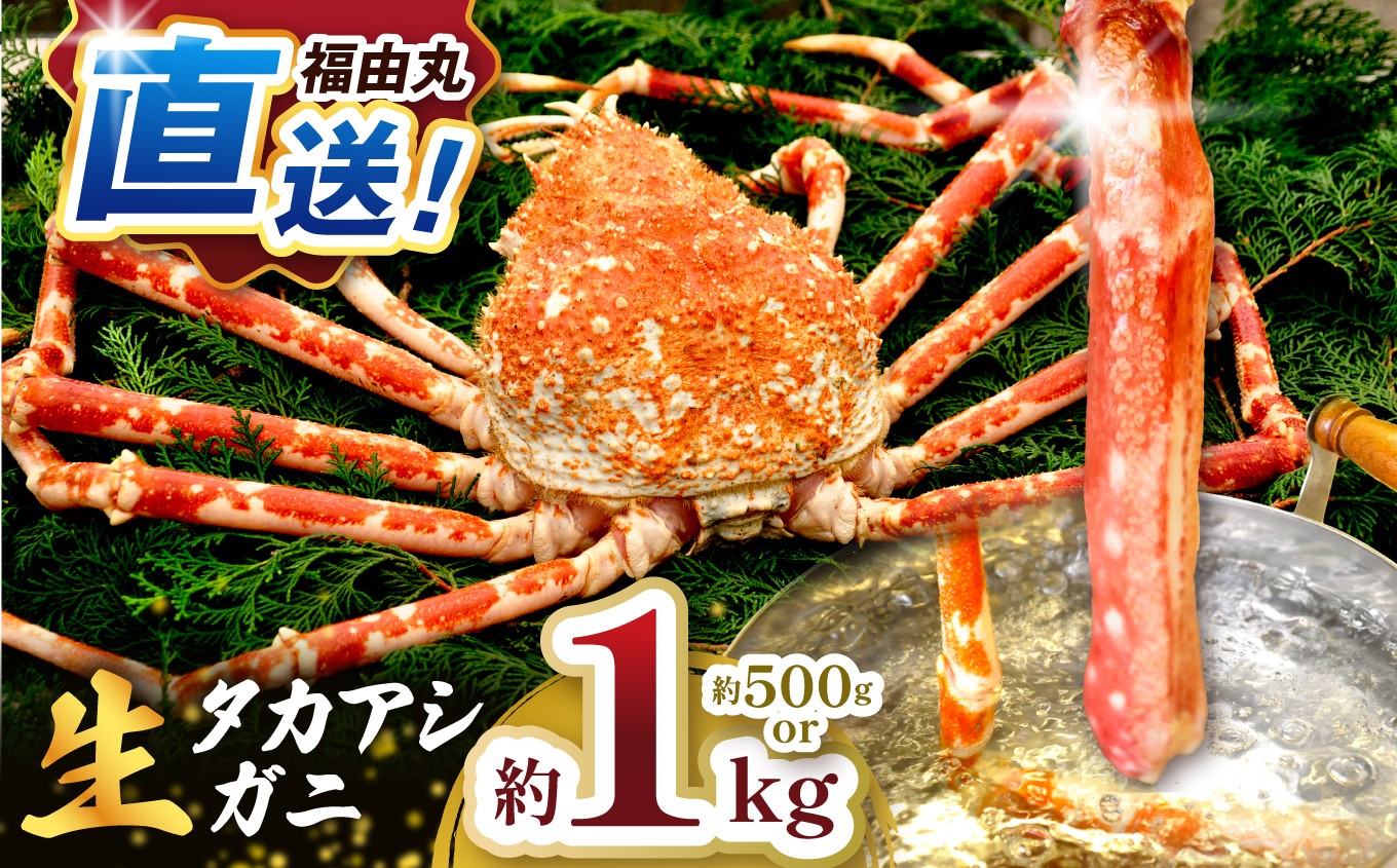 
                  福由丸直送「駿河湾のタカアシガニ」 カニ 蟹 タカアシガニ 生ガニ 直送 冷蔵 伊豆 西伊豆産 しゃぶしゃぶ 年末 
                