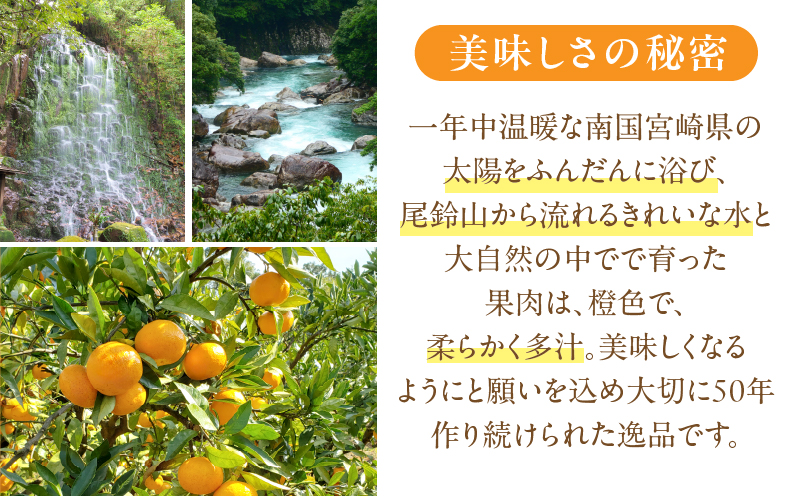 先行予約«数量限定»不知火(つのぽん)約4kg フルーツ 果物 柑橘 みかん 国産_T002-001