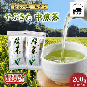 緑茶 やぶきた 中煎茶 200g (100g×2袋) 国産 静岡茶