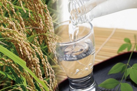 【京丹波のお酒】京丹波産100％使用　純米吟醸酒　長老「丹（たん）」　1800ml [015NA004]