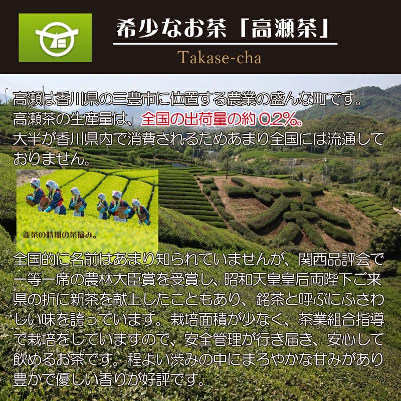【ふるさと納税】希少なお茶【高瀬茶】産地直送 煎茶ティーバッグ（緑茶5g×50P）×2袋「100回分」